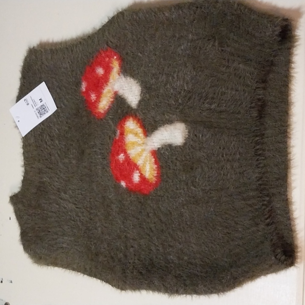Forever 21 green mushroom sweater vest